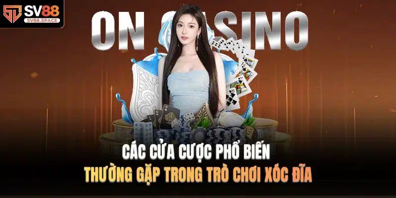 Các cửa cược phổ biến thường gặp trong trò chơi xóc đĩa