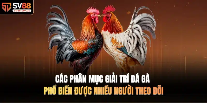 Các phân mục giải trí đá gà phổ biến được nhiều người theo dõi