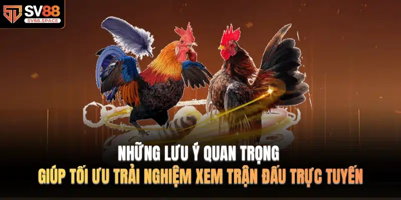 Những lưu ý quan trọng giúp tối ưu trải nghiệm xem trận đấu trực tuyến