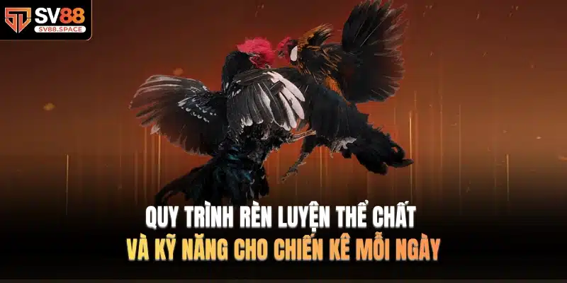 Quy trình rèn luyện thể chất và kỹ năng cho chiến kê mỗi ngày
